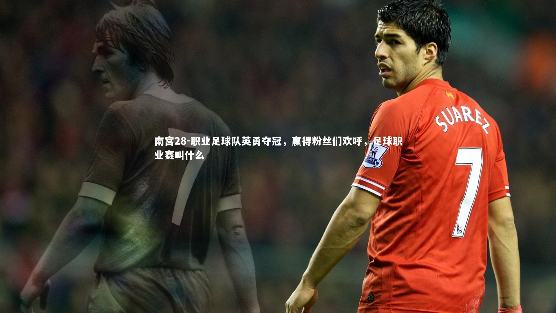 南宫28-职业足球队英勇夺冠，赢得粉丝们欢呼，足球职业赛叫什么